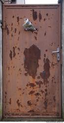 Photo Textures of Doors